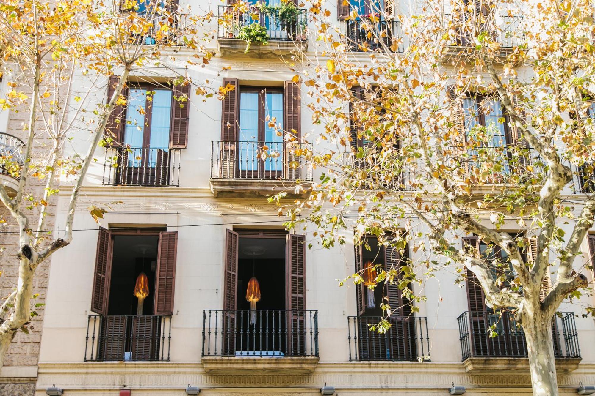 Zoorooms Boutique Guesthouse Barcelona Exterior photo